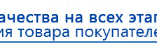 СКЭНАР-1-НТ (исполнение 01 VO) Скэнар Мастер купить в Рязани, Аппараты Скэнар купить в Рязани, Дэнас официальный сайт denasolm.ru